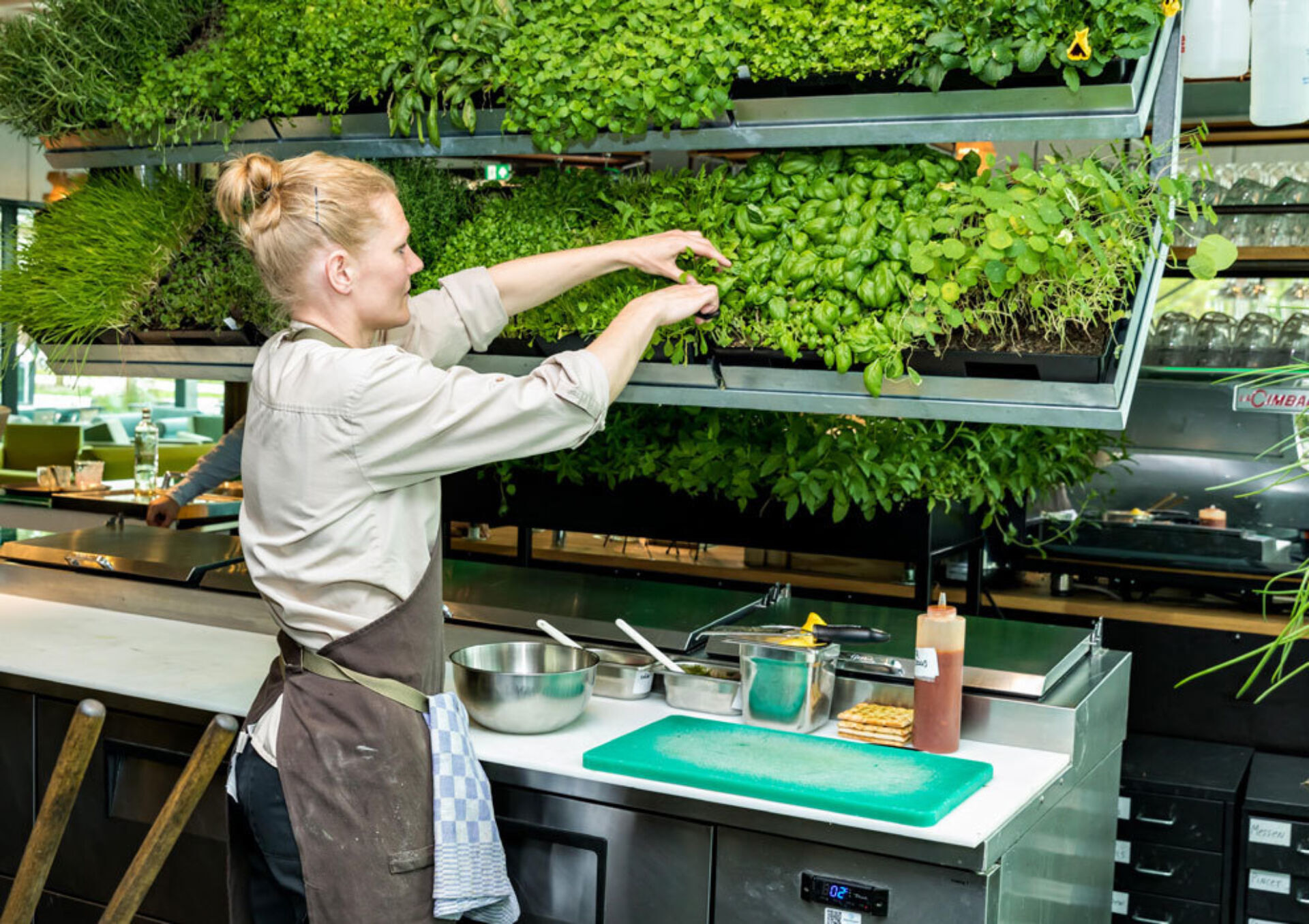 Duurzaamheid verse groene kruiden keuken