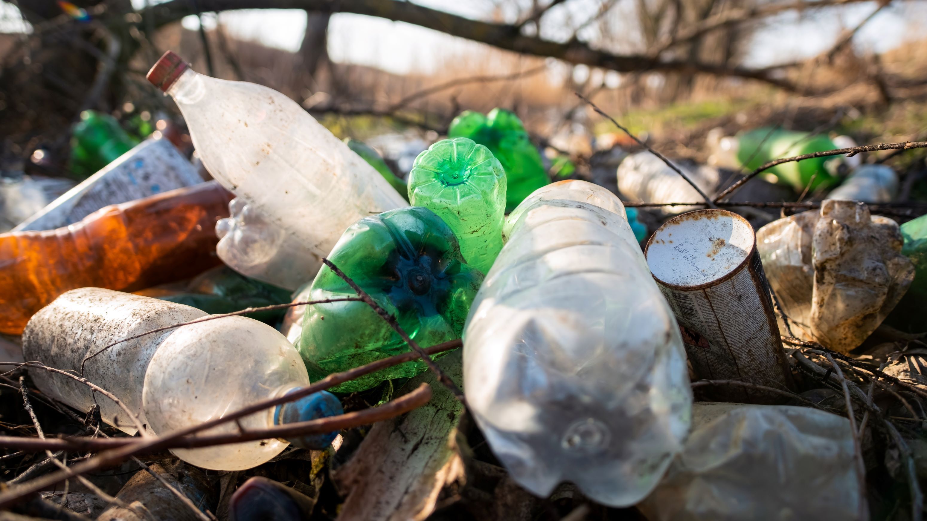 Plastic afval flessen natuur