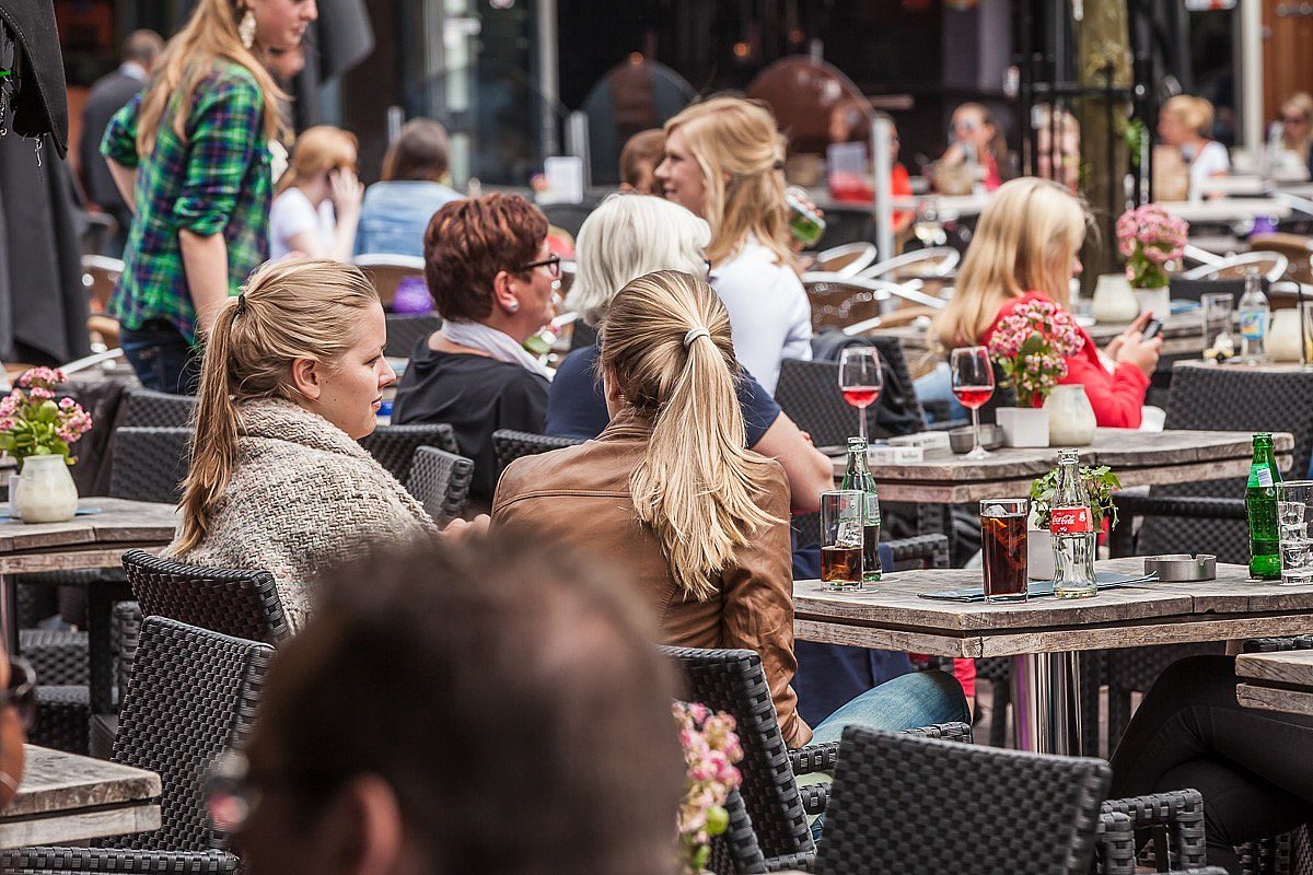 Terras algemeen