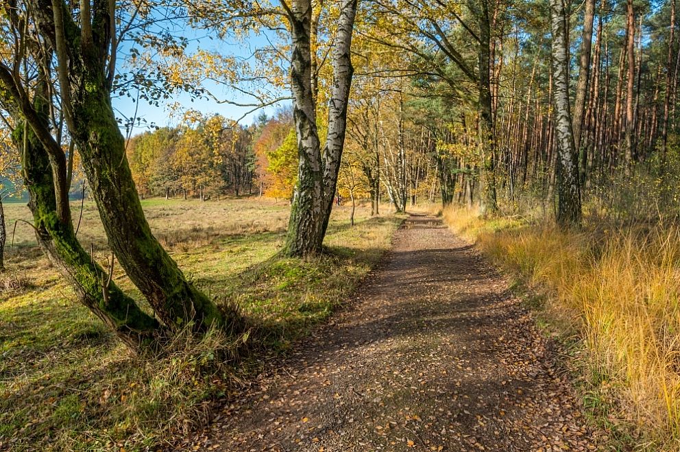 Wandelpaden drenthe cropped