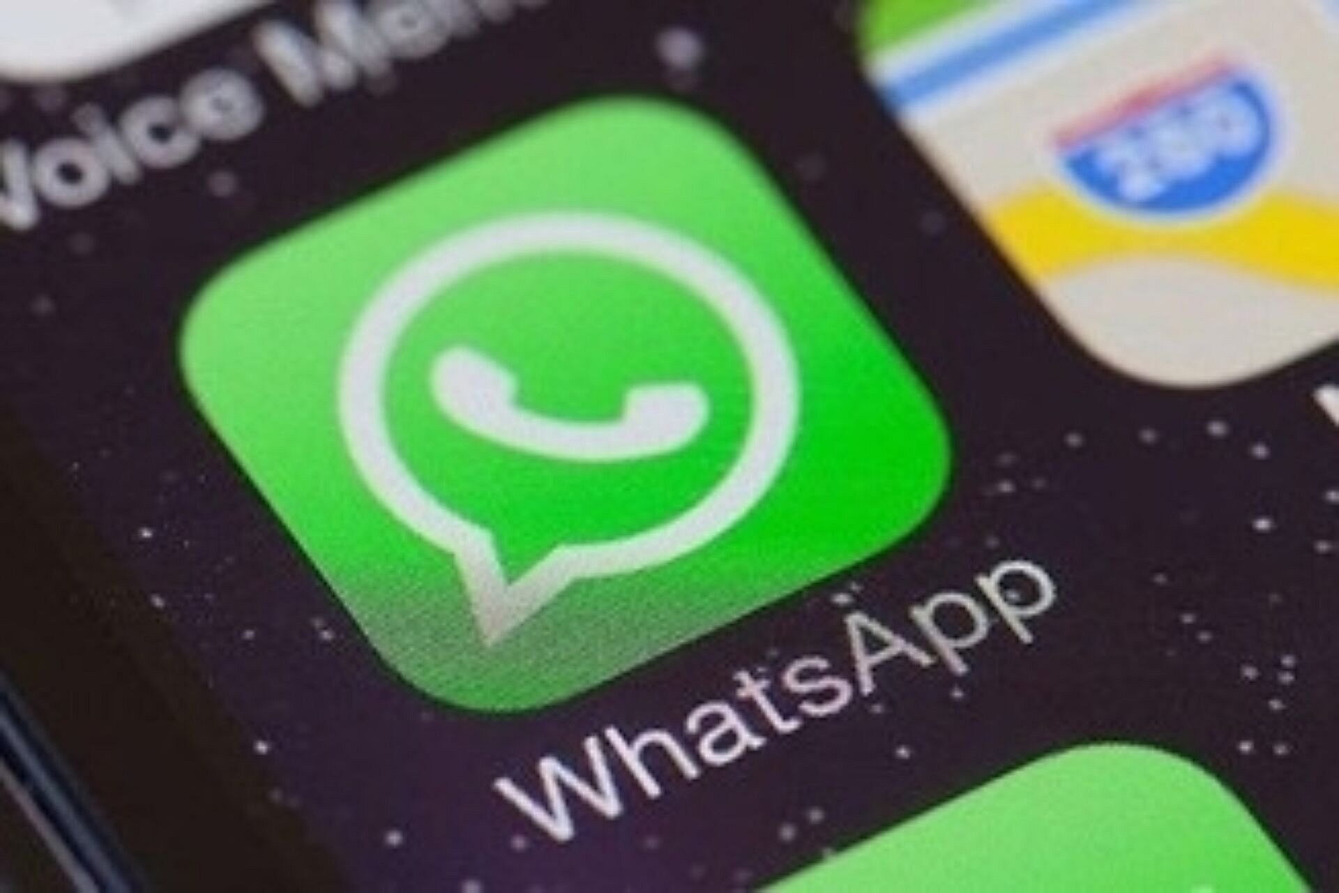 Whatsapp business