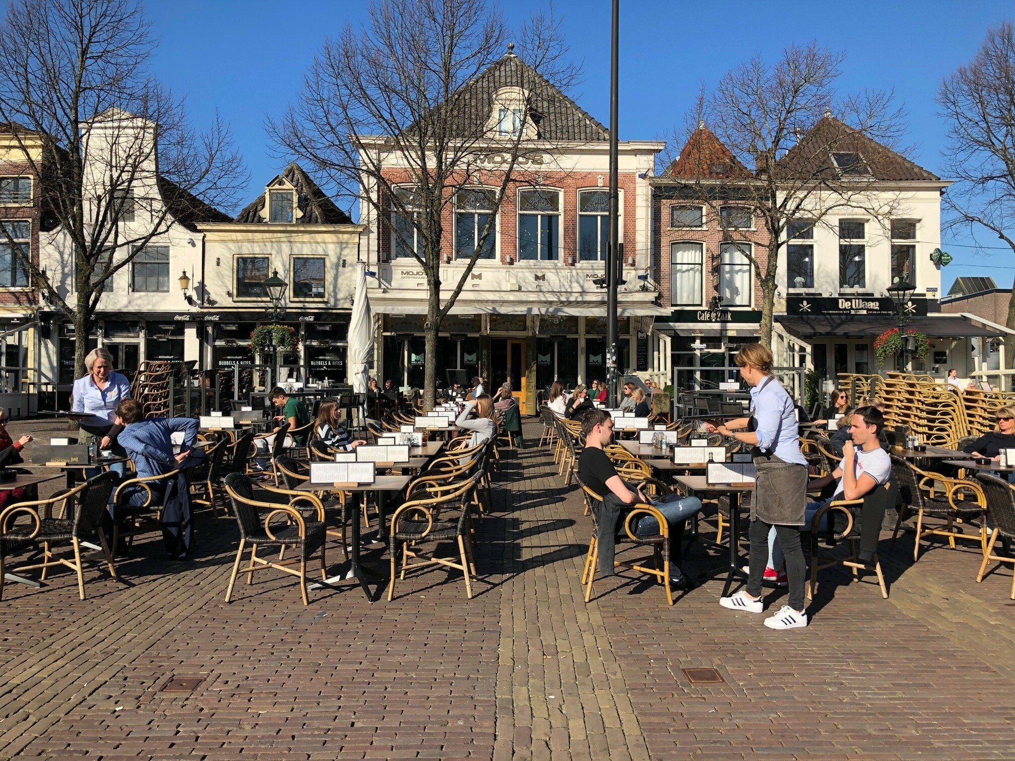 Alkmaar terras