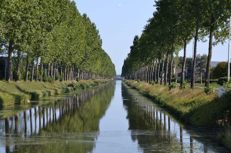 HOP nieuwsbrief november 2024