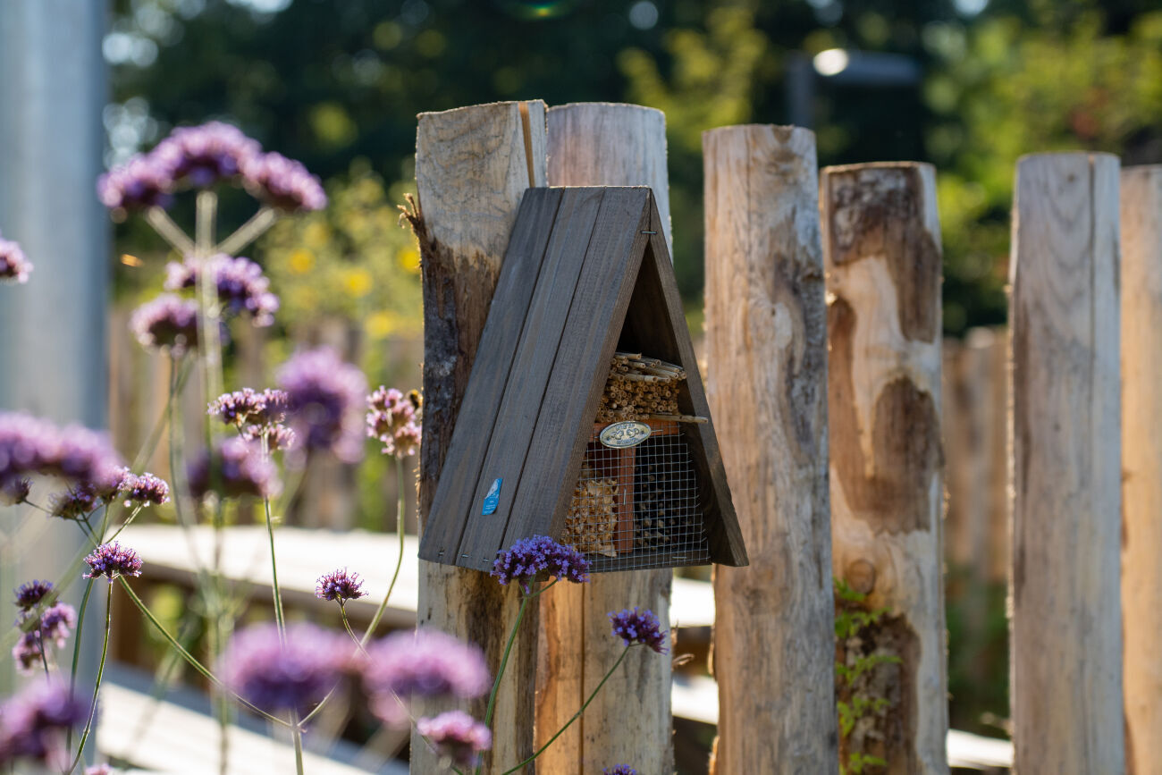 Training natuurinclusief ondernemen