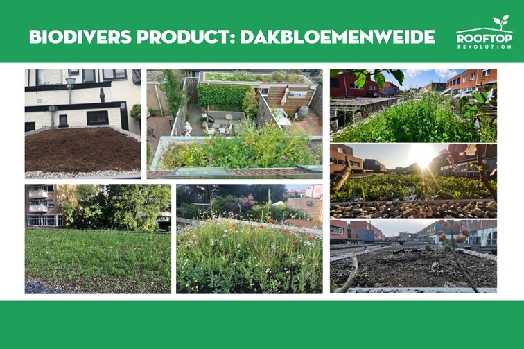 Groene Daken Actie