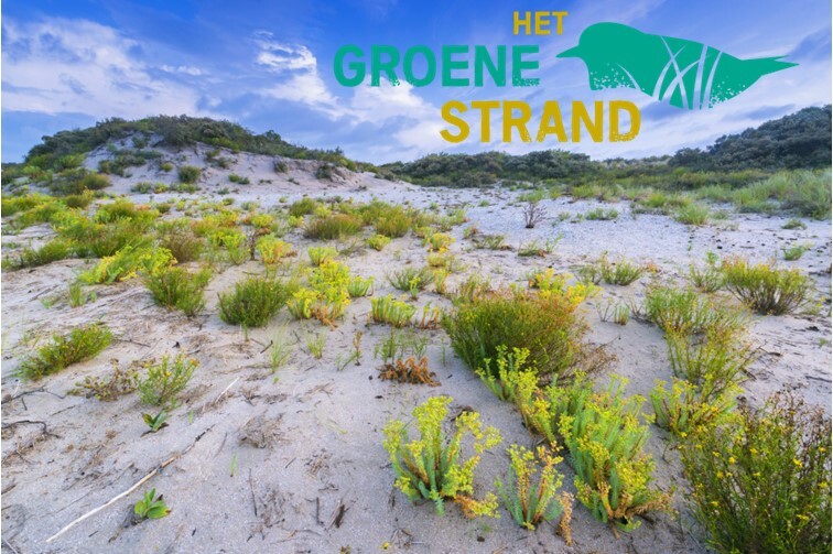 Het Groene Strand