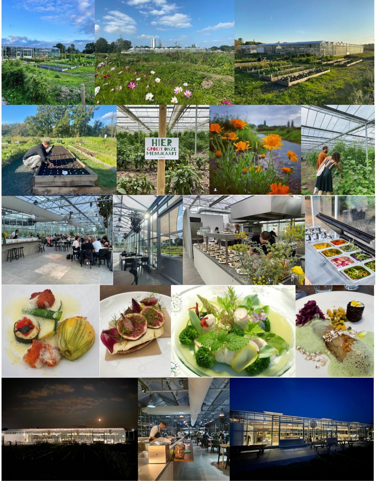 Utrecht Stadsjochies