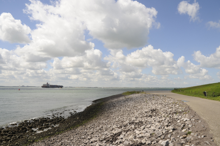 Westerschelde
