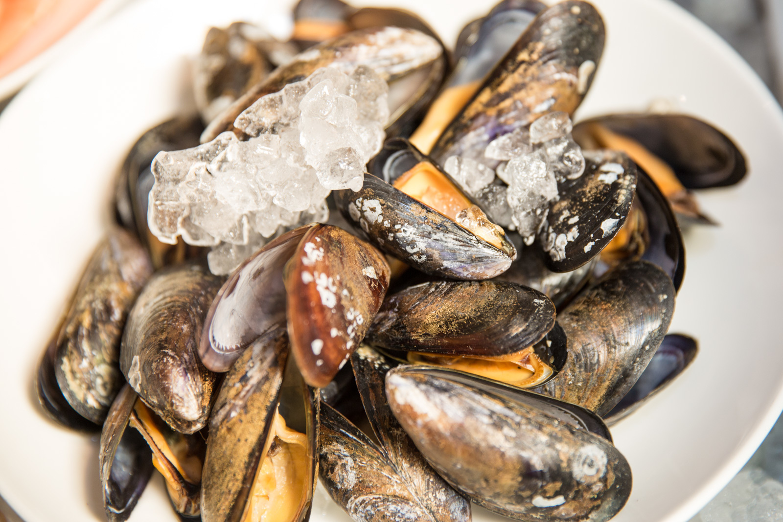 Mosselen met koel ijs op schotel