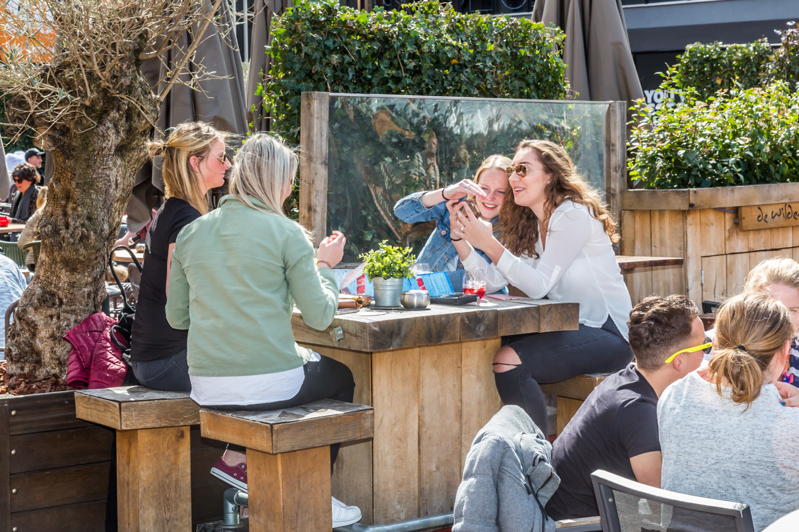 Jongeren op het zonnige terras