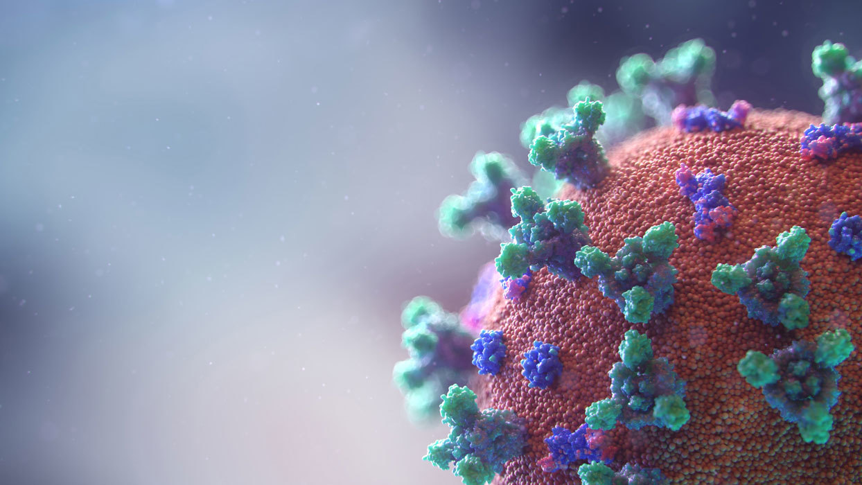 Coronavirus medical animation 1244x700px
