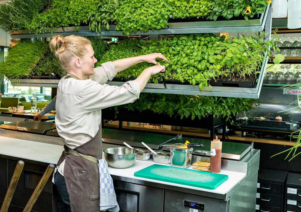Duurzaamheid verse groene kruiden keuken