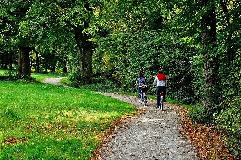 Toerisme fietsers bos