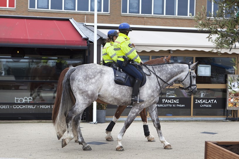Politie te paard