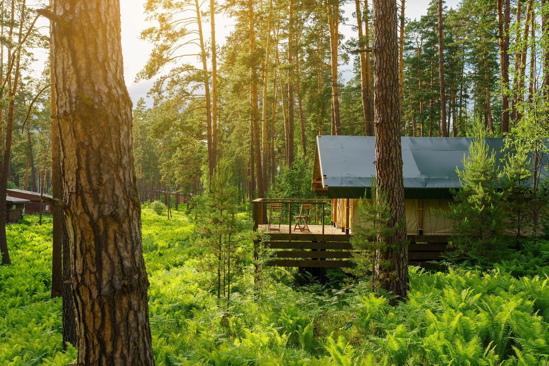 Shutterstock 1777918952