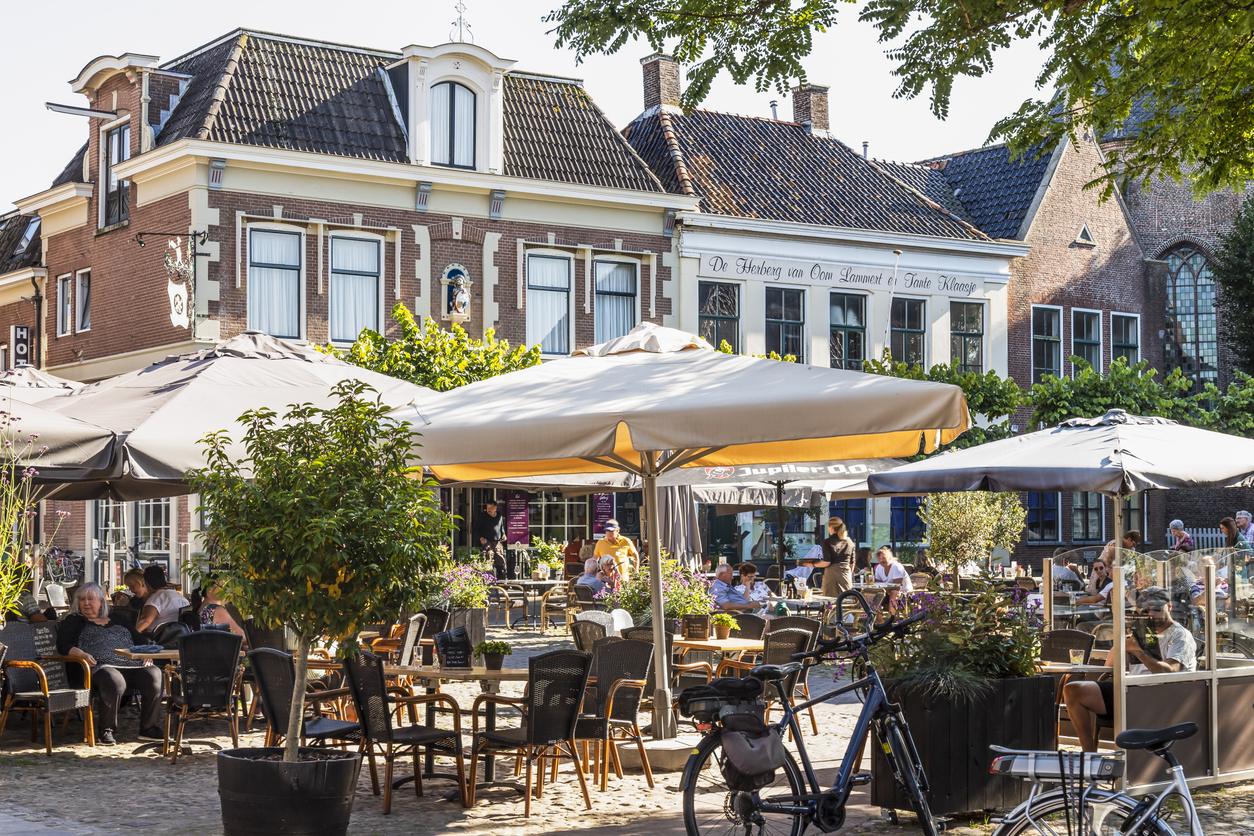 Terras friesland